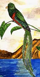 Image-Quetzal